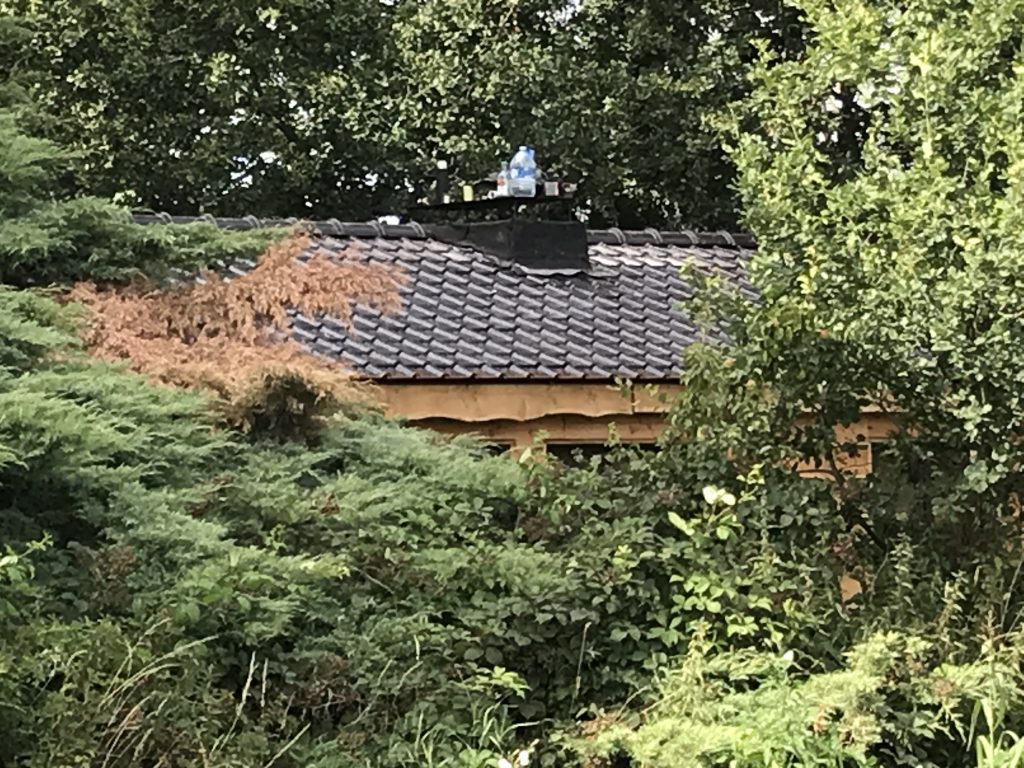 Vakantiehuisje